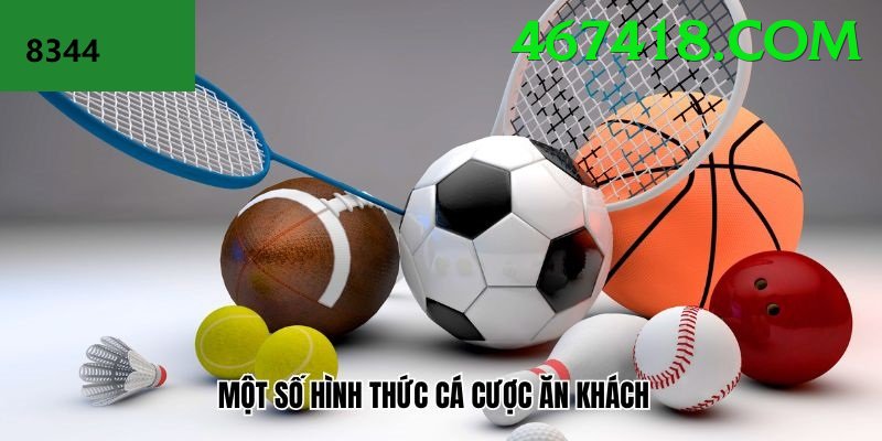 Cá Cược Thể Thao - 181bet